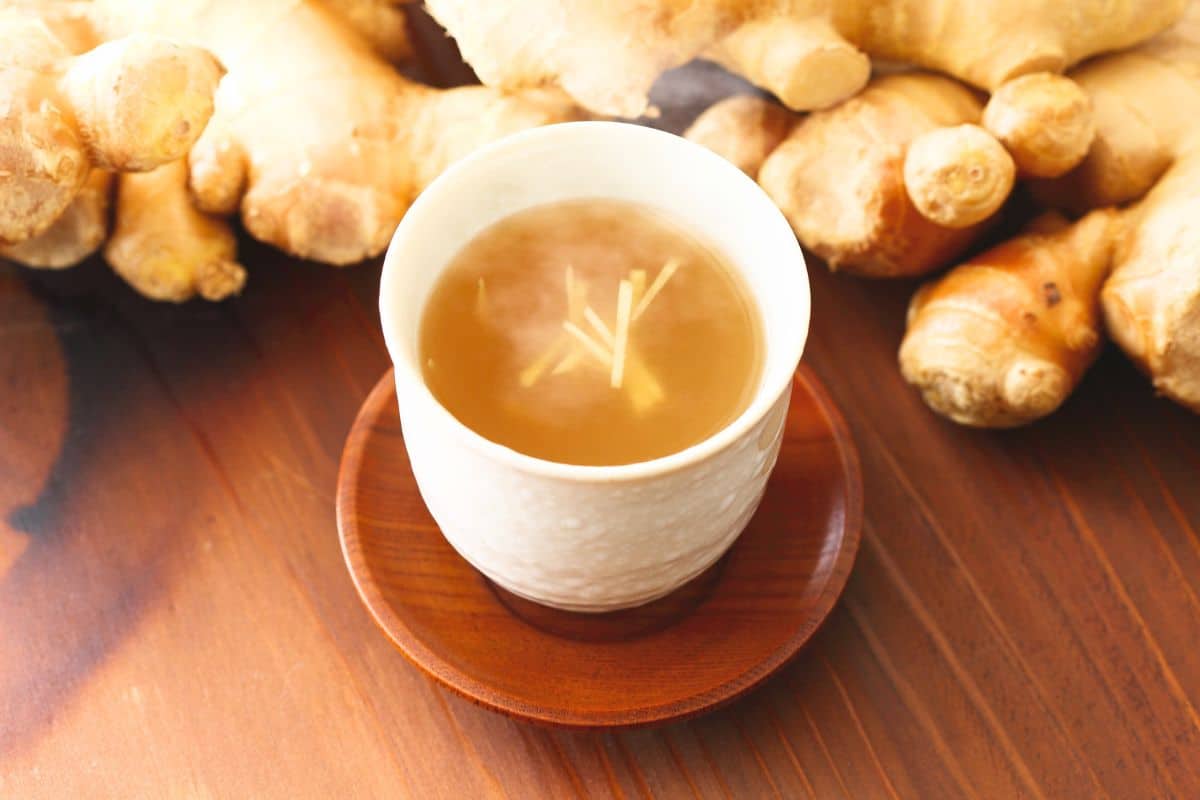 Trop de jus de gingembre le matin